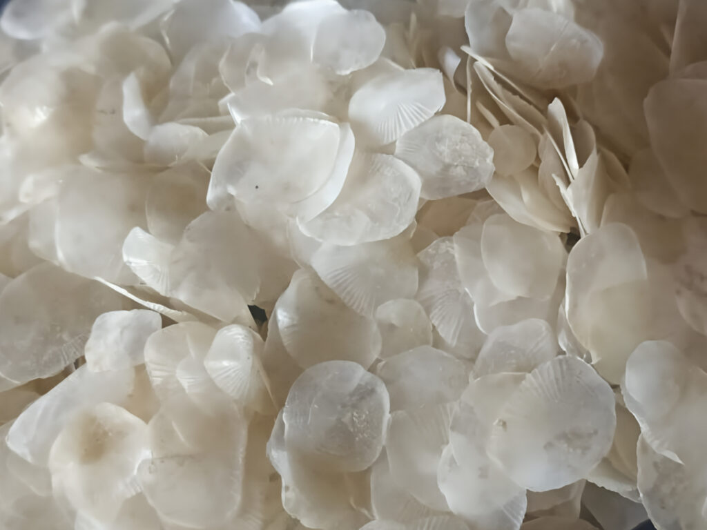 Premium dried tilapia fish scales from Indonesia